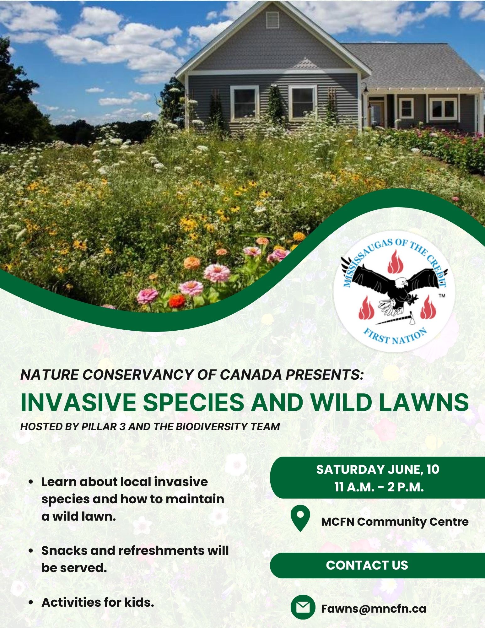 Learn more about invasive species and wild lawns