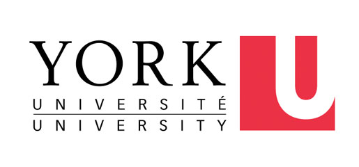 York University ethics review board