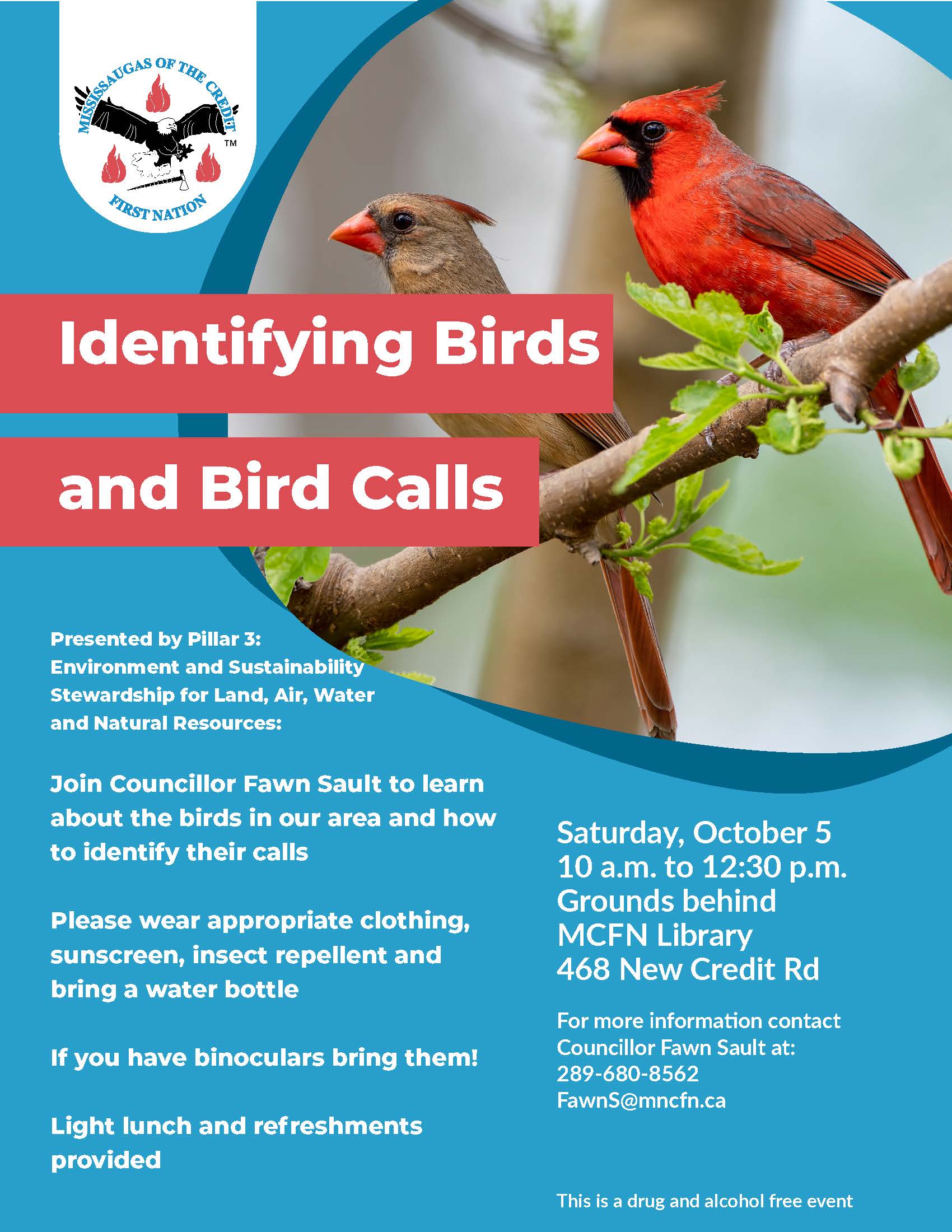 Identify birds and bird calls