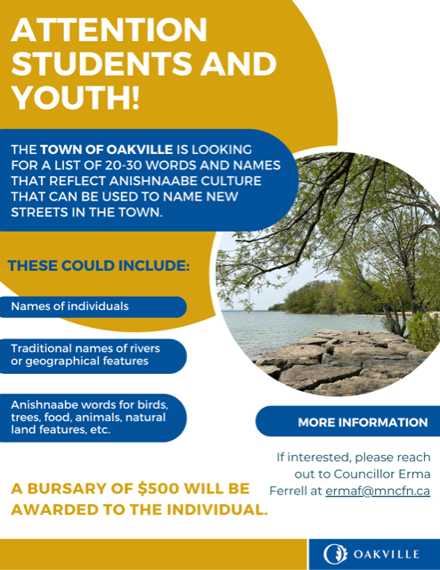 Youth Bursary opportunity