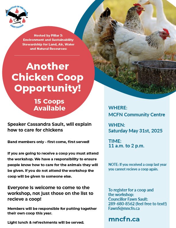 Another Chicken Coop Opportunity