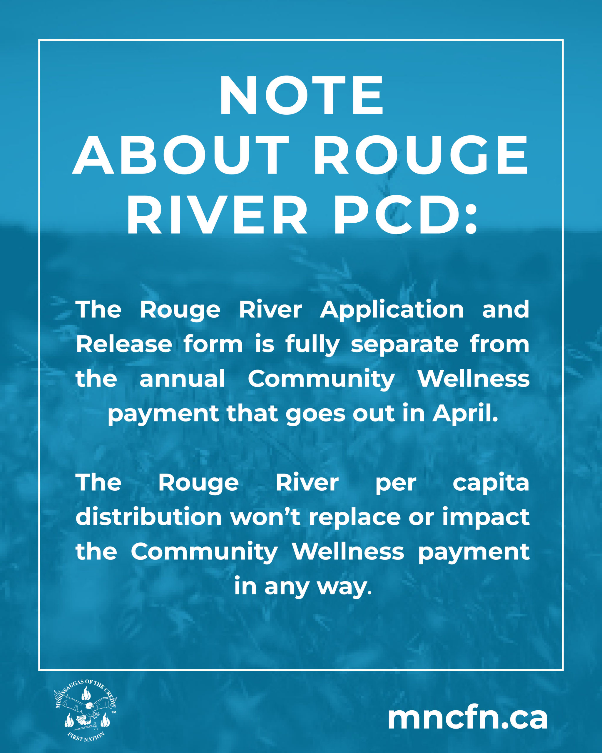 Quick Note Regarding the Rouge River Per Capita Distribution