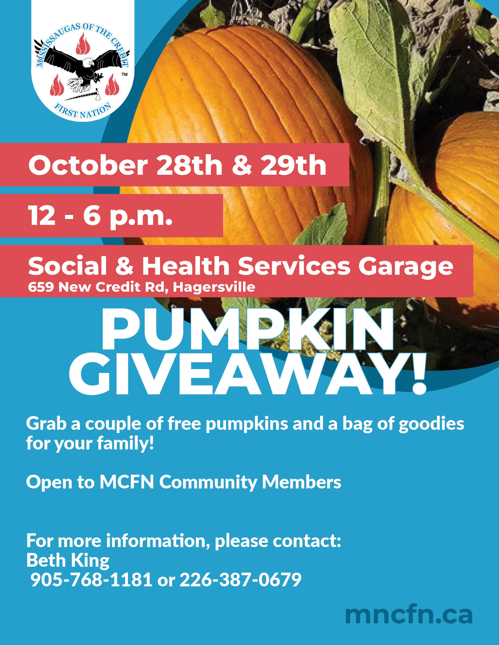 Pumpkin Giveaway!