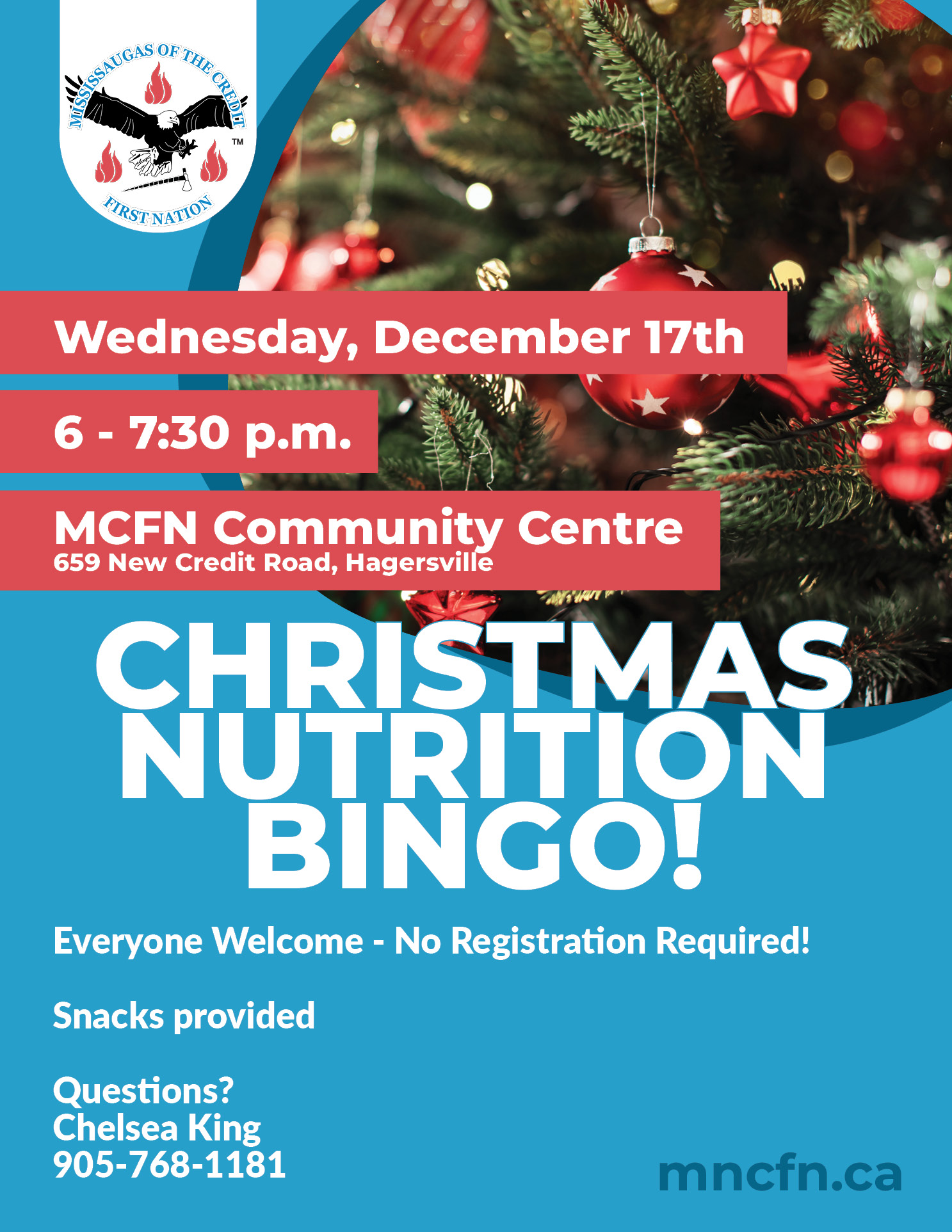 Christmas Nutrition Bingo!