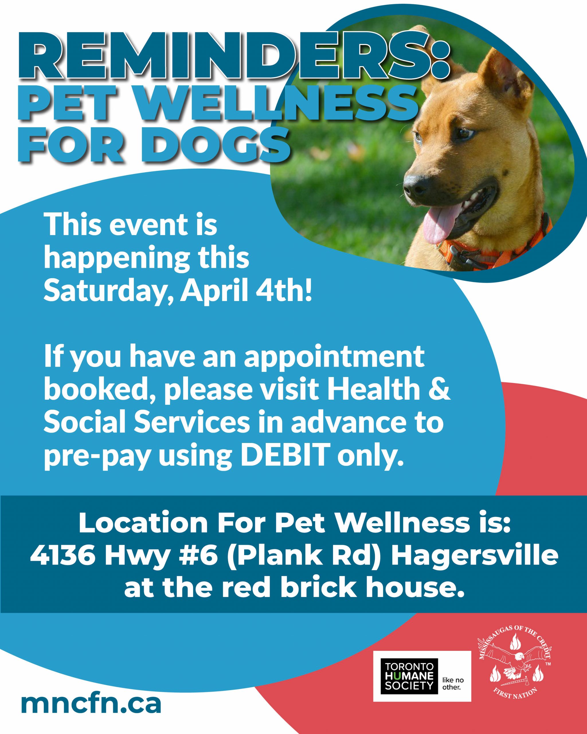 Reminder: Annual Pet Wellness Clinic for Dogs 