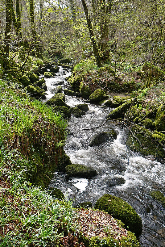 River