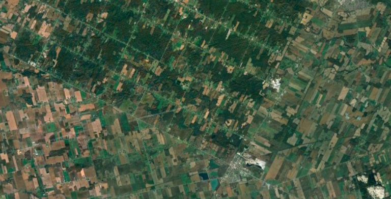 satelitemap