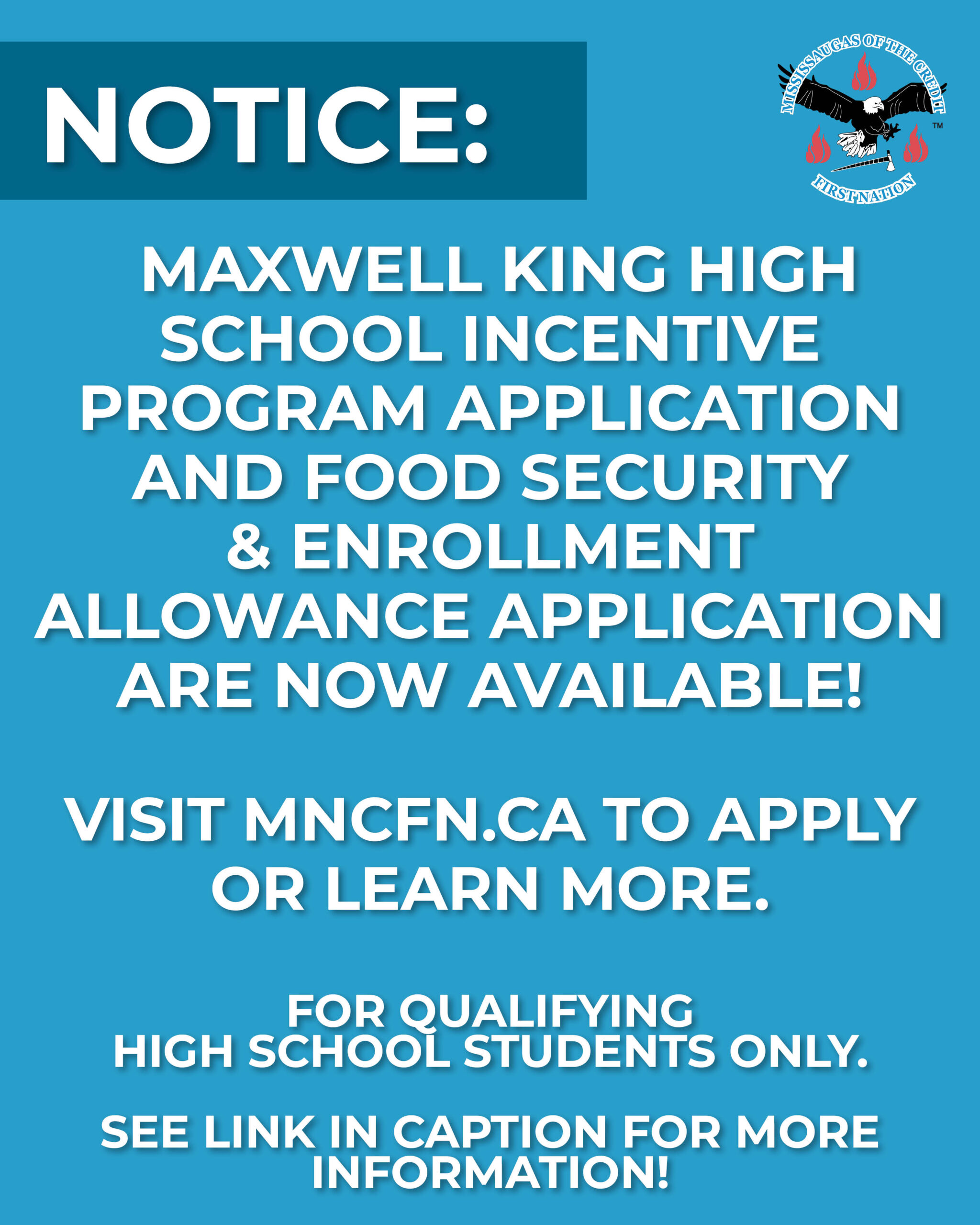 Now Available: Student Incentives & Supports