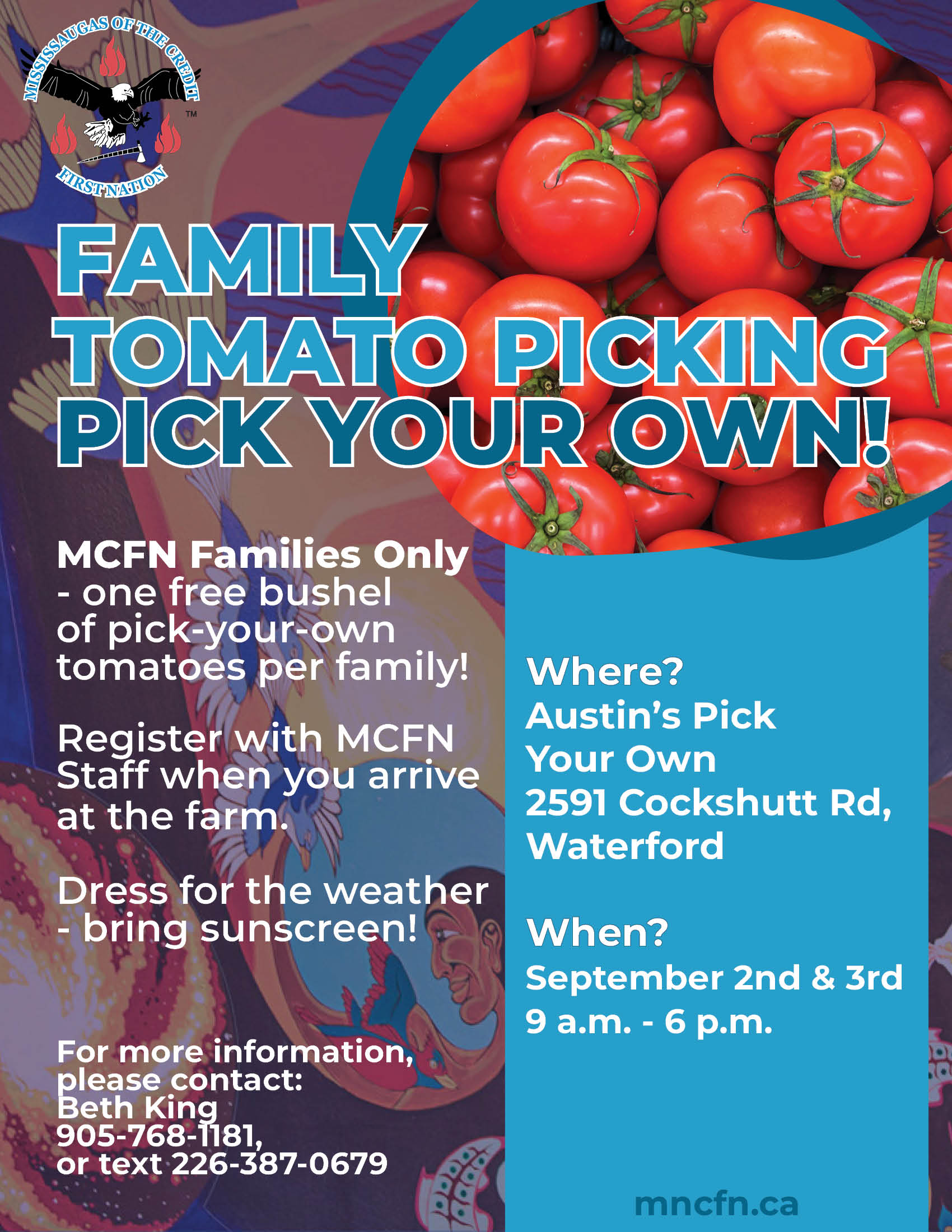 Family Tomato Picking!