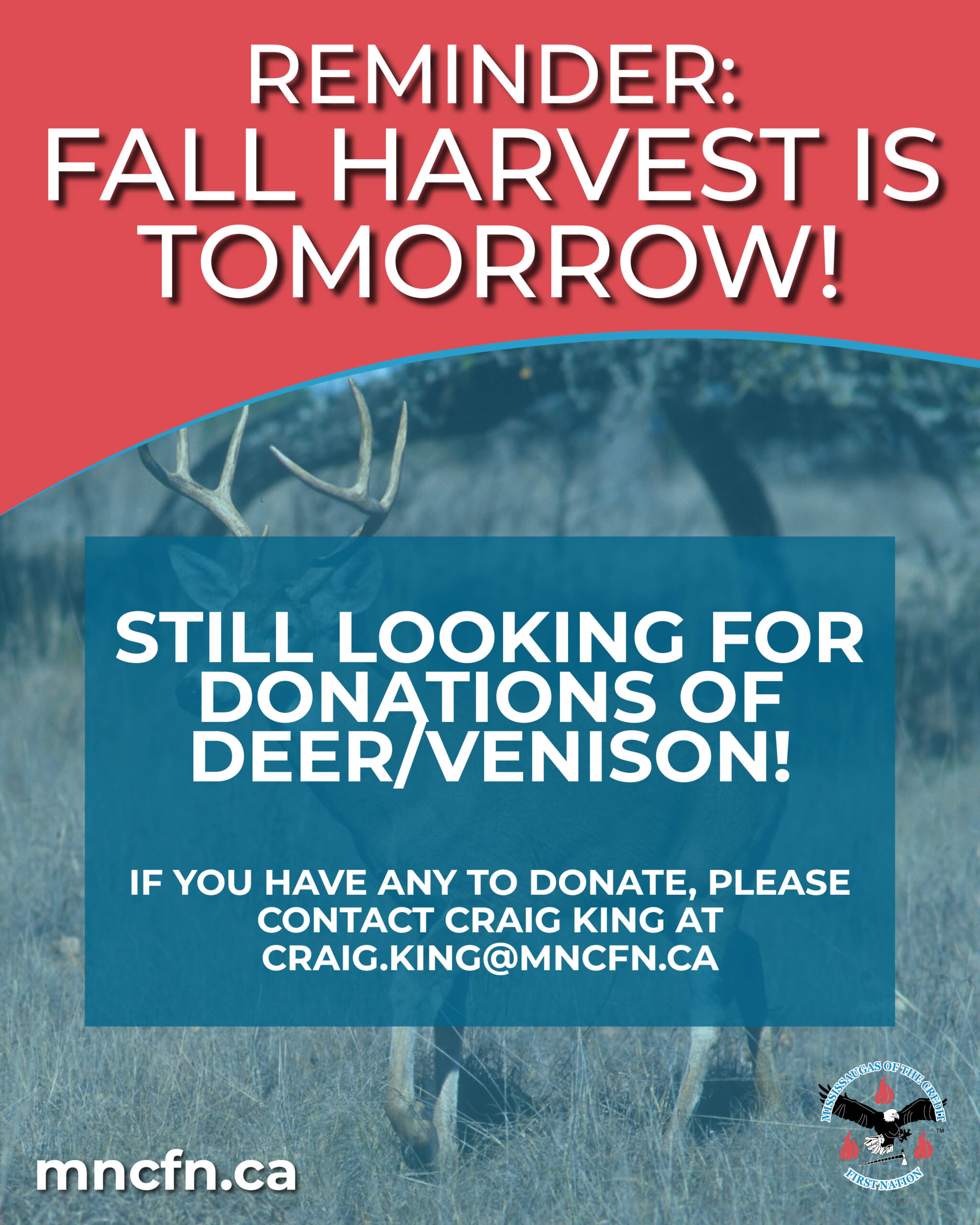 REMINDER: Community Fall Harvest is TOMORROW! 🌾