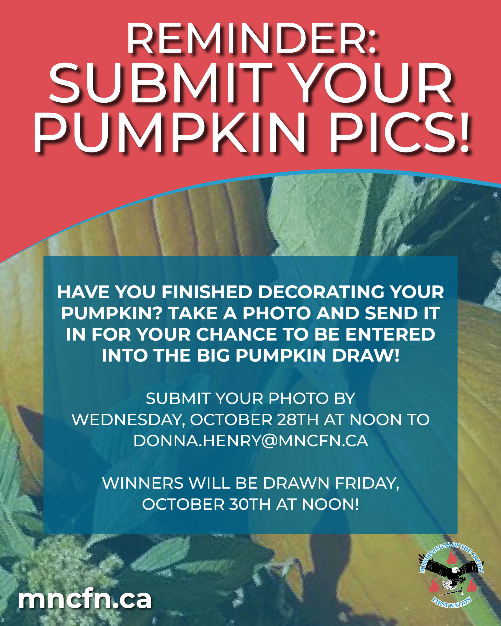 Don’t Forget to Submit Your Jack-O’-Lantern Photo!